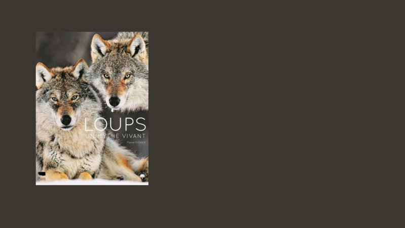 Avis livre : Loups de Pierre Rigaux